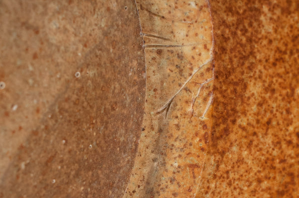 Medium shallow bowl #71